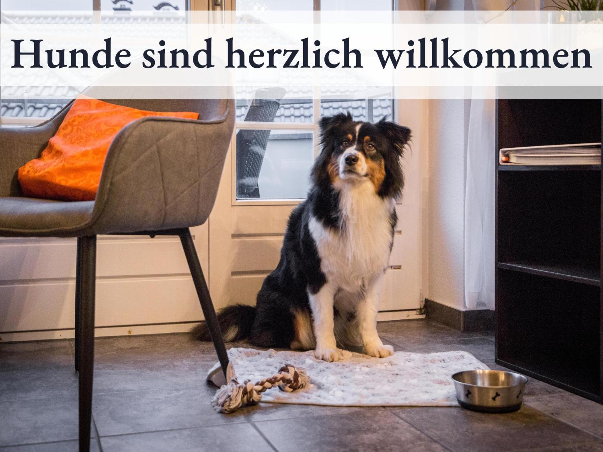 Blumenvilla 1 Mit Begehbarer Dusche, Sauna Und Garten Schneverdingen Kültér fotó